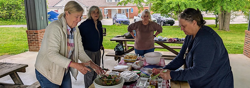 Norris Picnic
